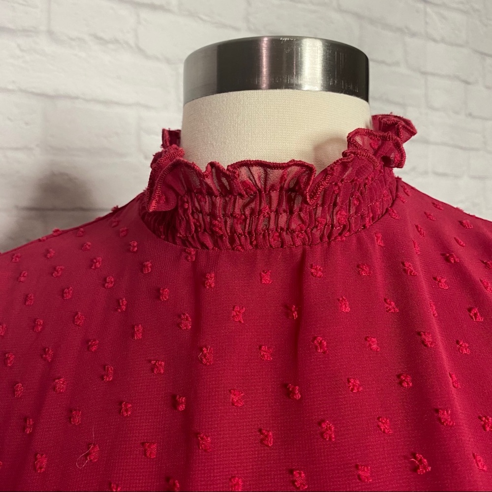 Swiss Dot Dress - image 2